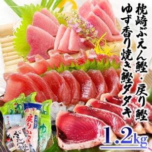 ゆず香りかつおたたき・枕崎ぶえん鰹・戻り鰹　(一本釣りかつお1.2Kg) A3-128