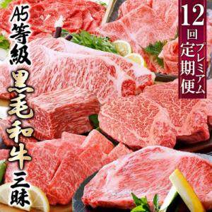 ふるさと納税 枕崎市 定期便(12回)鹿児島県産A5等級黒毛和牛三昧 JJ-0017