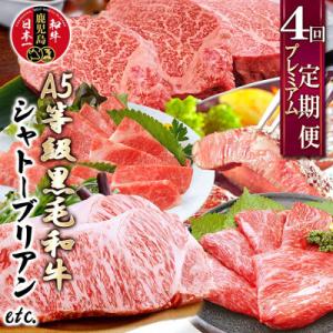 定期便(4回配送)A5等級黒毛和牛シャトーブリアン・サーロインステーキetc GG-0030