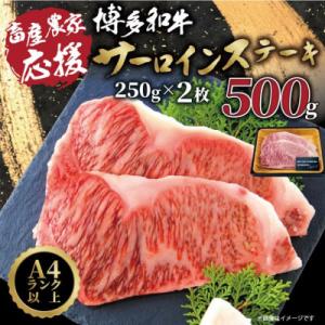 【A4～A5】博多和牛サーロインステーキ【厳選部位】(250g×2枚)