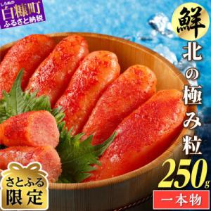 【さとふる限定】 辛子明太子 (250g×1)