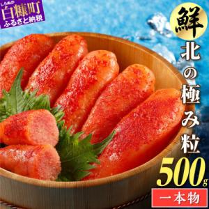 辛子明太子【250g×2】