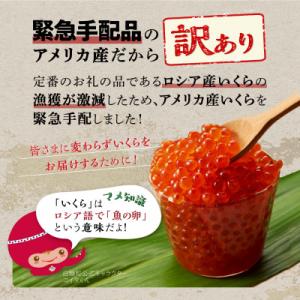 ふるさと納税 白糠町 【訳あり】 鮭いくら醤油...の詳細画像1