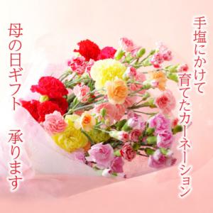 ふるさと納税 佐世保市 母の日ギフト 花農家直送...の商品画像