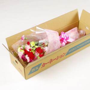 ふるさと納税 佐世保市 母の日ギフト 花農家直...の詳細画像1