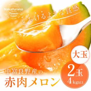 ふるさと納税 中富良野町 AB-012【2026年発送】中富良野赤肉メロン　大玉2玉(計4kg以上)
