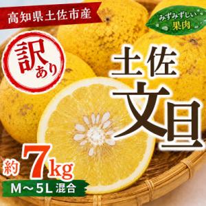 【訳あり】土佐文旦 (ぶんたん) 家庭用 (M～5L混合サイズ) 約7kg