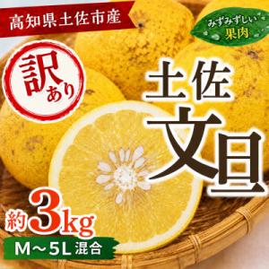 訳あり 土佐文旦(ぶんたん) 家庭用(M～5L混合サイズ) 約3kg
