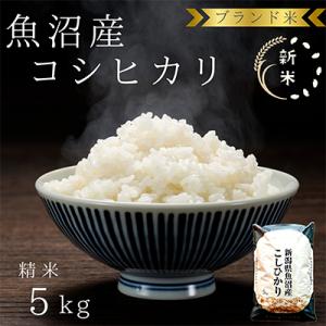 「令和8年産　新米先行受付」ブランド米 魚沼産コシヒカリ5kg 精米
