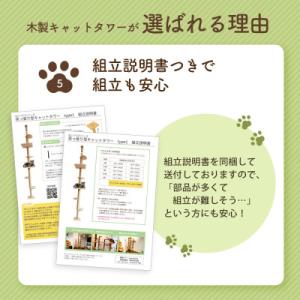 ふるさと納税 北名古屋市 【ねこハウスシリーズ...の詳細画像3