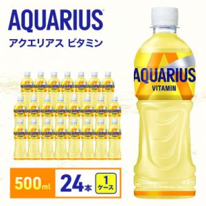 ふるさと納税 明石市 アクエリアスビタミン 500ml 1ケース 24本ペットボトル[54171217]