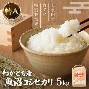 わかとち産魚沼コシヒカリ 特別栽培米 5kg