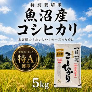 【新米】令和8年産 魚沼産コシヒカリ 5kg 特別栽培米