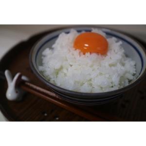 ふるさと納税 東庄町 【お米マイスター厳選】東...の詳細画像3