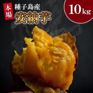 ふるさと納税 南種子町 本場種子島産　安納芋10kg