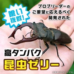 ふるさと納税 小鹿野町 プロゼリー 約500個入りの詳細画像1
