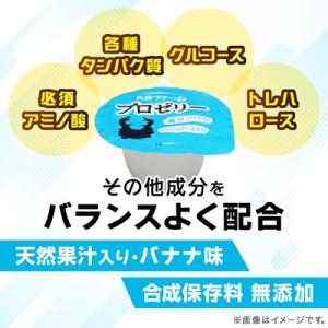 ふるさと納税 小鹿野町 プロゼリー 約500個入りの詳細画像2