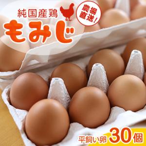 ふるさと納税 紫波町 純国産鶏平飼い卵(30個)