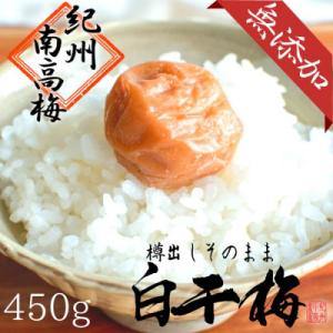 無添加　白干梅(2L～3Lサイズ、450g)紀州南高梅　【梅農家厳選　手づくり梅干】