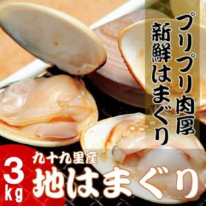ふるさと納税 大網白里市 九十九里浜　天然はまぐり　3kg【厳選】〈10月上旬より順次発送予定〉