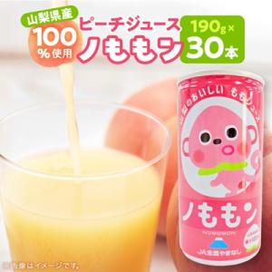 ふるさと納税 山梨県 ピーチジュース(ノももン)