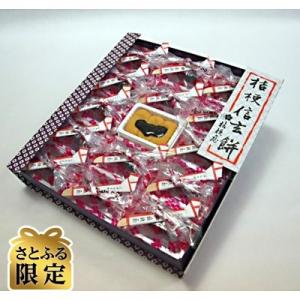 ふるさと納税 山梨県 桔梗信玄餅×15個<さとふる限定>