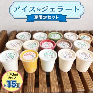 ふるさと納税 五泉市 アイス&ジェラート170mlカップ×15個