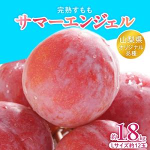 山梨県オリジナル品種の完熟すもも「サマーエンジェル」舌の上でとろけるなめらかな果肉