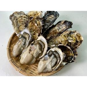 【生食用】深層水仕込みの殻付き真牡蠣　10個セット