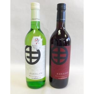 ふるさと納税 山梨県 山梨の地ワイン2本セット(まるき葡萄酒　赤白)