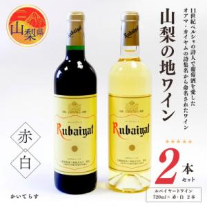 山梨の地ワイン2本セット(丸藤葡萄酒工業　赤白)