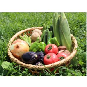 【旬の野菜】三春町産野菜の詰め合わせ
