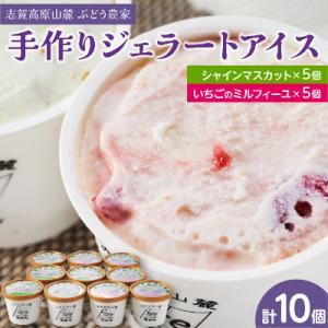 信州なかの　手作りジェラート2種セット(10個入り)