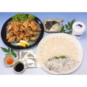ふるさと納税 長門市 仙崎ふぐ　虎二(とらふぐ刺身・あら唐揚げ)冷凍　2人前