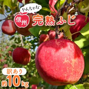 〈信州中野まつじるし農園〉やんちゃな訳あり完熟ふじ 約10kg