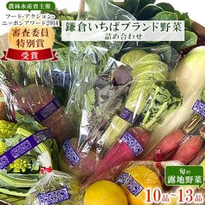 ふるさと納税 鎌倉市 鎌倉いちばブランド野菜詰め合わせ｜y-sf