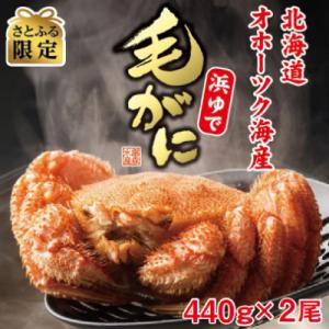 ふるさと納税 雄武町 【さとふる限定】オホーツク産【厳選】浜ゆで毛ガニ 440g×2尾入【HT0005】