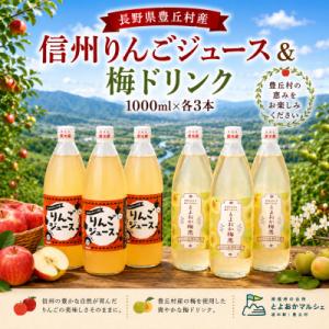 【かあちゃんの店】りんごジュース・うめジュースセット