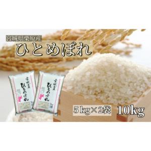 ふるさと納税 栗原市 【令和5年産】宮城栗原産 ひとめぼれ 白米10kg (5kg×2袋)