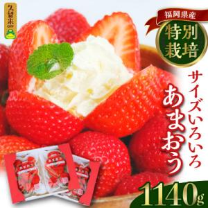 ふるさと納税 久留米市 うるう農園のあまおうM〜Gサイズ 4パック(1140g)