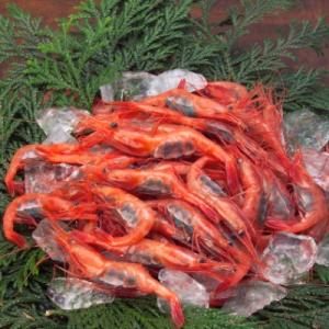 甘エビ　1kg　_22127