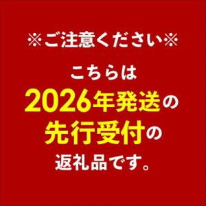 ふるさと納税 八重瀬町 【マンゴー農園直送!】...の詳細画像1