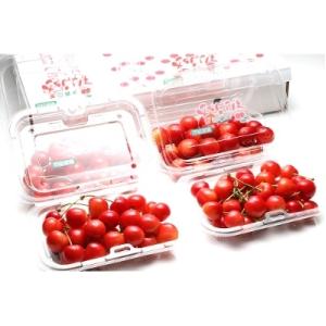 ふるさと納税 山形県 【令和4年度先行受付】さくらんぼ(佐藤錦)200g×4パック【(株)さくらんぼファクトリー】