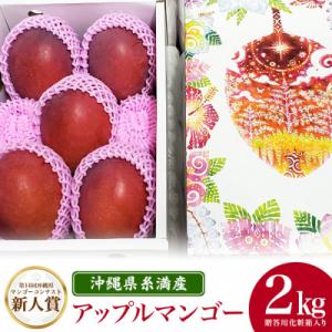 【2026年発送】沖縄県糸満産 ゆいぐくるマンゴーの「濃厚アップルマンゴー」2kg　(化粧箱入)