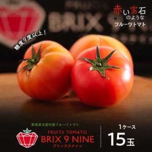 【令和8年3月発送開始】糖度9度以上!赤い宝石のようなフルーツトマト　ブリックスナイントマト1ケース