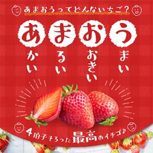 ふるさと納税 久留米市 【さとふる限定】202...の詳細画像1
