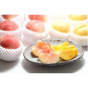 ふるさと納税 山形県 【2022年発送　先行受付】どちらも食べたい!白桃と黄桃詰め合わせ約2kg
