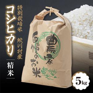 ふるさと納税 鮫川村 鮫川村産コシヒカリ(精米)5kg