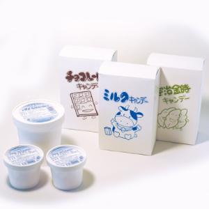 無添加アイスクリーム&アイスキャンデーセット