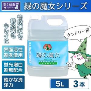 迷ったらこれ　ふるさと納税専門誌掲載品　世界で一つだけの機能を持つ洗剤　緑の魔女ランドリー5L×3